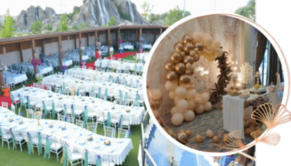 Ana Sayfa Hakkımızda